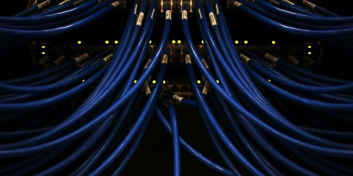Blue network data cables connected in a data center